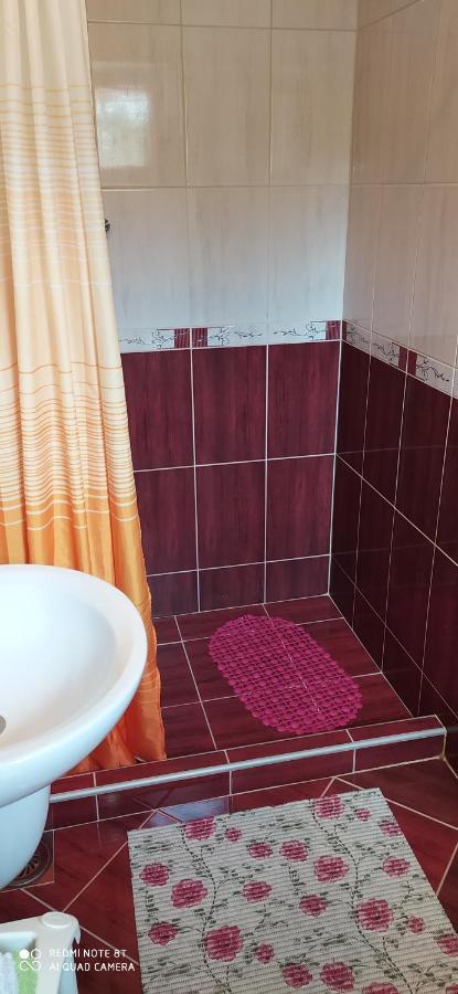Apartmani Aleksijevic Zlatibor Extérieur photo