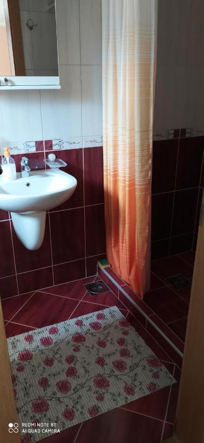 Apartmani Aleksijevic Zlatibor Extérieur photo